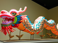 龙文化形象对比，传统舞龙与博物馆展陈的融合}