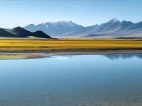 揭秘青藏高原上的龙文化与神秘传说}