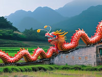 龙文化与粤北龙潭龙王会的田野记录